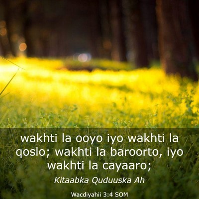 Picture 03 - Wacdiyahii 3:4 SOM - wakhti la ooyo iyo wakhti la qoslo; wakhti la - Bible Verse Picture