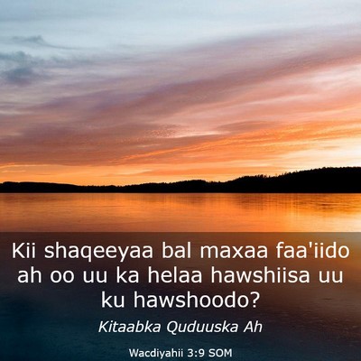 Picture 03 - Wacdiyahii 3:9 SOM - Kii shaqeeyaa bal maxaa faa'iido ah oo uu ka - Bible Verse Picture