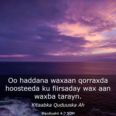 Picture 03 - Wacdiyahii 4:7 SOM - Oo haddana waxaan qorraxda hoosteeda ku fiirsaday - Bible Verse Picture