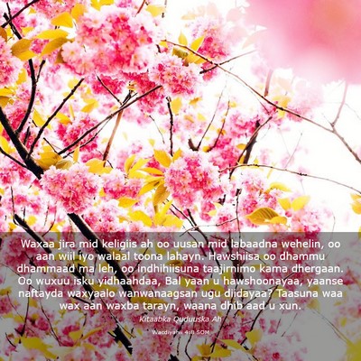 Picture 03 - Wacdiyahii 4:8 SOM - Waxaa jira mid keligiis ah oo uusan mid labaadna - Bible Verse Picture