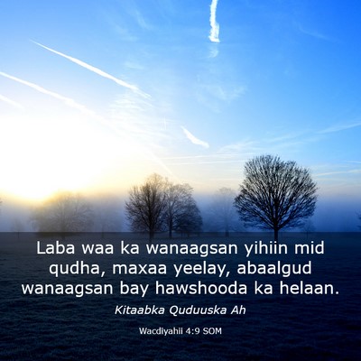 Picture 03 - Wacdiyahii 4:9 SOM - Laba waa ka wanaagsan yihiin mid qudha, maxaa - Bible Verse Picture