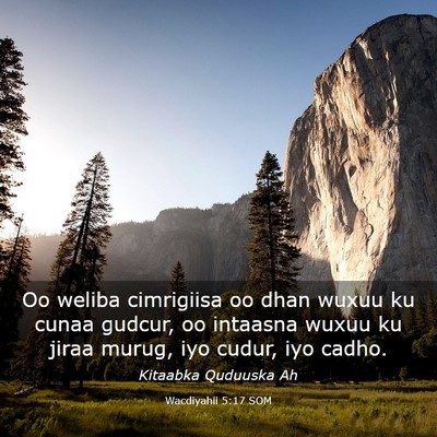 Picture 03 - Wacdiyahii 5:17 SOM - Oo weliba cimrigiisa oo dhan wuxuu ku cunaa - Bible Verse Picture