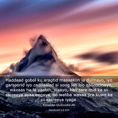 Picture 03 - Wacdiyahii 5:8 SOM - Haddaad gobol ku aragtid masaakiin la dulmayo, - Bible Verse Picture