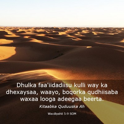 Picture 03 - Wacdiyahii 5:9 SOM - Dhulka faa'iidadiisu kulli way ka dhexaysaa, - Bible Verse Picture