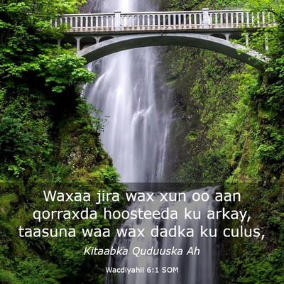Picture 03 - Wacdiyahii 6:1 SOM - Waxaa jira wax xun oo aan qorraxda hoosteeda ku - Bible Verse Picture