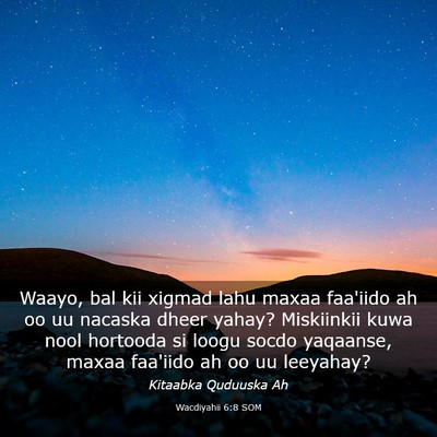 Picture 03 - Wacdiyahii 6:8 SOM - Waayo, bal kii xigmad lahu maxaa faa'iido ah oo - Bible Verse Picture