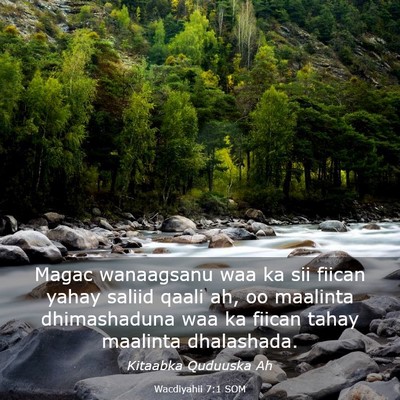 Picture 03 - Wacdiyahii 7:1 SOM - Magac wanaagsanu waa ka sii fiican yahay saliid - Bible Verse Picture