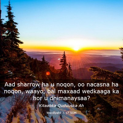 Picture 03 - Wacdiyahii 7:17 SOM - Aad sharrow ha u noqon, oo nacasna ha noqon, - Bible Verse Picture
