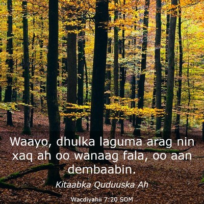 Picture 03 - Wacdiyahii 7:20 SOM - Waayo, dhulka laguma arag nin xaq ah oo wanaag - Bible Verse Picture