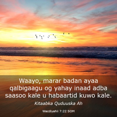 Picture 03 - Wacdiyahii 7:22 SOM - Waayo, marar badan ayaa qalbigaagu og yahay inaad - Bible Verse Picture