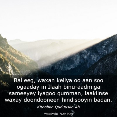 Picture 03 - Wacdiyahii 7:29 SOM - Bal eeg, waxan keliya oo aan soo ogaaday in Ilaah - Bible Verse Picture