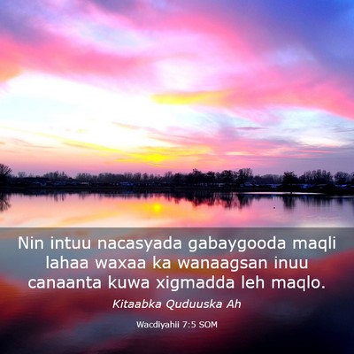 Picture 03 - Wacdiyahii 7:5 SOM - Nin intuu nacasyada gabaygooda maqli lahaa waxaa - Bible Verse Picture
