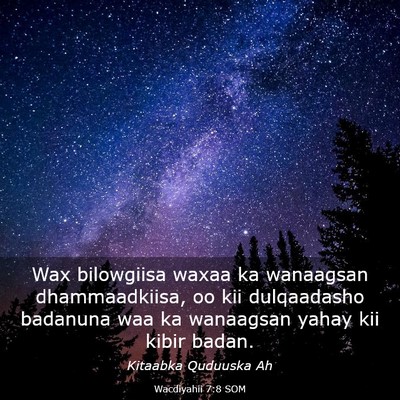 Picture 03 - Wacdiyahii 7:8 SOM - Wax bilowgiisa waxaa ka wanaagsan dhammaadkiisa, - Bible Verse Picture