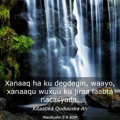 Picture 03 - Wacdiyahii 7:9 SOM - Xanaaq ha ku degdegin, waayo, xanaaqu wuxuu ku - Bible Verse Picture