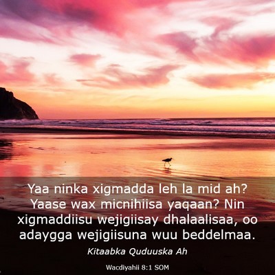 Picture 03 - Wacdiyahii 8:1 SOM - Yaa ninka xigmadda leh la mid ah? Yaase wax - Bible Verse Picture