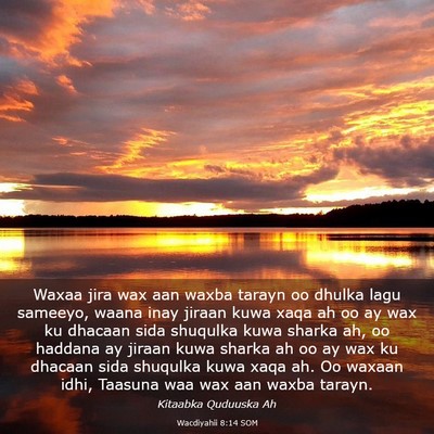 Picture 03 - Wacdiyahii 8:14 SOM - Waxaa jira wax aan waxba tarayn oo dhulka lagu - Bible Verse Picture