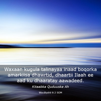 Picture 03 - Wacdiyahii 8:2 SOM - Waxaan kugula talinayaa inaad boqorka amarkiisa - Bible Verse Picture