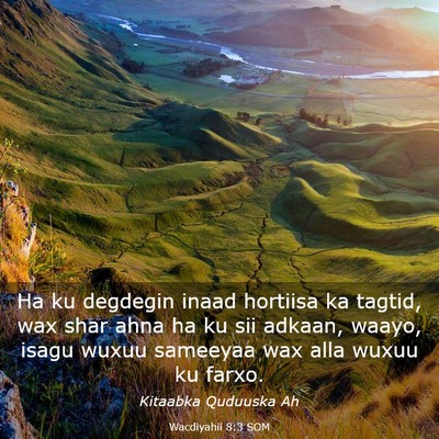 Picture 03 - Wacdiyahii 8:3 SOM - Ha ku degdegin inaad hortiisa ka tagtid, wax shar - Bible Verse Picture