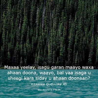 Picture 03 - Wacdiyahii 8:7 SOM - Maxaa yeelay, isagu garan maayo waxa ahaan doona, - Bible Verse Picture