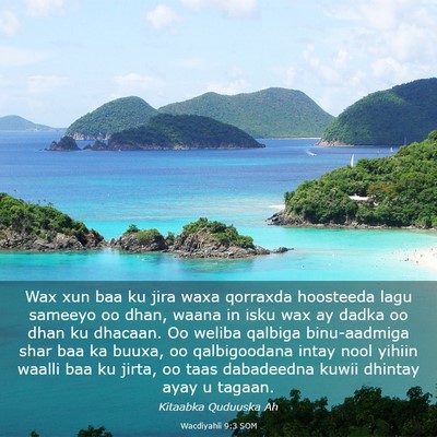 Picture 03 - Wacdiyahii 9:3 SOM - Wax xun baa ku jira waxa qorraxda hoosteeda lagu - Bible Verse Picture