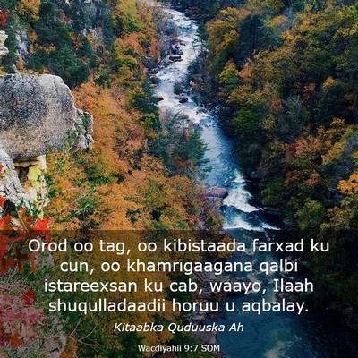 Picture 03 - Wacdiyahii 9:7 SOM - Orod oo tag, oo kibistaada farxad ku cun, oo - Bible Verse Picture