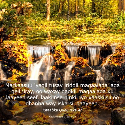 Picture 03 - Xaakinnada 1:25 SOM - Markaasuu iyagii tusay iriddii magaalada laga - Bible Verse Picture