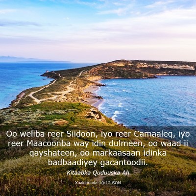 Picture 03 - Xaakinnada 10:12 SOM - Oo weliba reer Siidoon, iyo reer Camaaleq, iyo - Bible Verse Picture