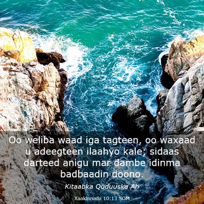 Picture 03 - Xaakinnada 10:13 SOM - Oo weliba waad iga tagteen, oo waxaad u adeegteen - Bible Verse Picture