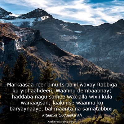 Picture 03 - Xaakinnada 10:15 SOM - Markaasaa reer binu Israa'iil waxay Rabbiga ku - Bible Verse Picture