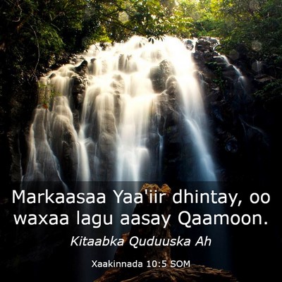 Picture 03 - Xaakinnada 10:5 SOM - Markaasaa Yaa'iir dhintay, oo waxaa lagu aasay - Bible Verse Picture