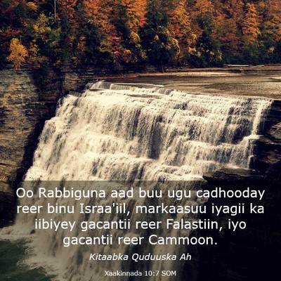 Picture 03 - Xaakinnada 10:7 SOM - Oo Rabbiguna aad buu ugu cadhooday reer binu - Bible Verse Picture