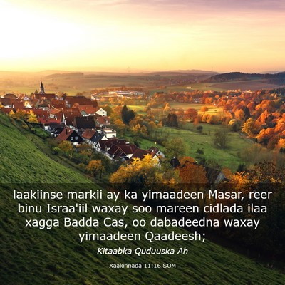 Picture 03 - Xaakinnada 11:16 SOM - laakiinse markii ay ka yimaadeen Masar, reer binu - Bible Verse Picture