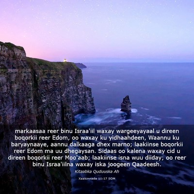 Picture 03 - Xaakinnada 11:17 SOM - markaasaa reer binu Israa'iil waxay wargeeyayaal - Bible Verse Picture