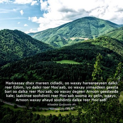 Picture 03 - Xaakinnada 11:18 SOM - Markaasay dhex mareen cidladii, oo waxay - Bible Verse Picture