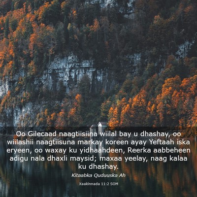 Picture 03 - Xaakinnada 11:2 SOM - Oo Gilecaad naagtiisiina wiilal bay u dhashay, oo - Bible Verse Picture