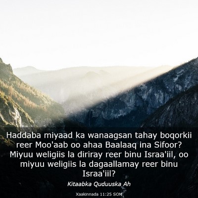 Picture 03 - Xaakinnada 11:25 SOM - Haddaba miyaad ka wanaagsan tahay boqorkii reer - Bible Verse Picture
