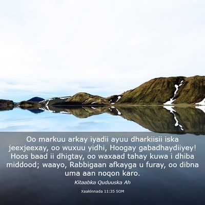 Picture 03 - Xaakinnada 11:35 SOM - Oo markuu arkay iyadii ayuu dharkiisii iska - Bible Verse Picture