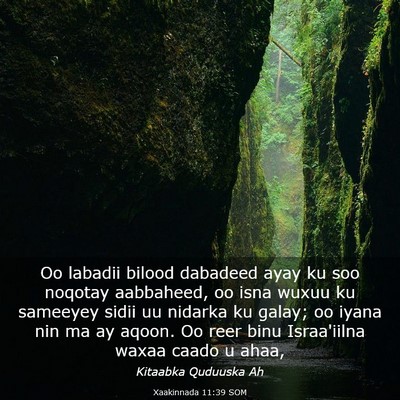Picture 03 - Xaakinnada 11:39 SOM - Oo labadii bilood dabadeed ayay ku soo noqotay - Bible Verse Picture