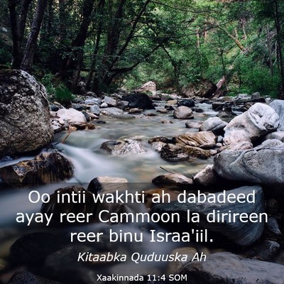 Picture 03 - Xaakinnada 11:4 SOM - Oo intii wakhti ah dabadeed ayay reer Cammoon la - Bible Verse Picture