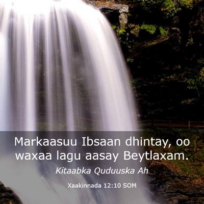 Picture 03 - Xaakinnada 12:10 SOM - Markaasuu Ibsaan dhintay, oo waxaa lagu aasay - Bible Verse Picture