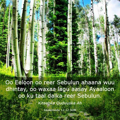 Picture 03 - Xaakinnada 12:12 SOM - Oo Eeloon oo reer Sebulun ahaana wuu dhintay, oo - Bible Verse Picture