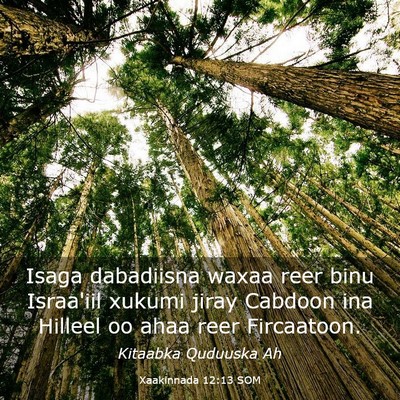 Picture 03 - Xaakinnada 12:13 SOM - Isaga dabadiisna waxaa reer binu Israa'iil xukumi - Bible Verse Picture