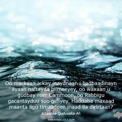 Picture 03 - Xaakinnada 12:3 SOM - Oo markaan arkay inaydnaan i badbaadinayn ayaan - Bible Verse Picture