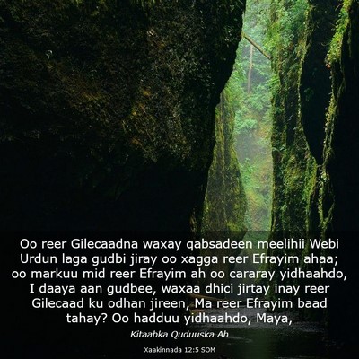 Picture 03 - Xaakinnada 12:5 SOM - Oo reer Gilecaadna waxay qabsadeen meelihii Webi - Bible Verse Picture
