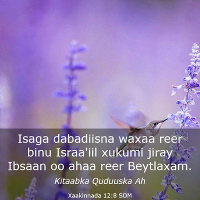 Picture 03 - Xaakinnada 12:8 SOM - Isaga dabadiisna waxaa reer binu Israa'iil xukumi - Bible Verse Picture