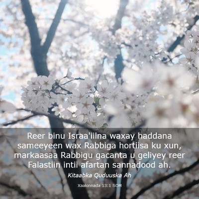Picture 03 - Xaakinnada 13:1 SOM - Reer binu Israa'iilna waxay haddana sameeyeen wax - Bible Verse Picture
