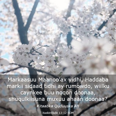 Picture 03 - Xaakinnada 13:12 SOM - Markaasuu Maanoo'ax yidhi, Haddaba markii sidaad - Bible Verse Picture