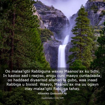 Picture 03 - Xaakinnada 13:16 SOM - Oo malaa'igtii Rabbiguna waxay Maanoo'ax ku - Bible Verse Picture