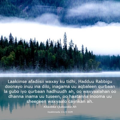 Picture 03 - Xaakinnada 13:23 SOM - Laakiinse afadiisii waxay ku tidhi, Hadduu - Bible Verse Picture