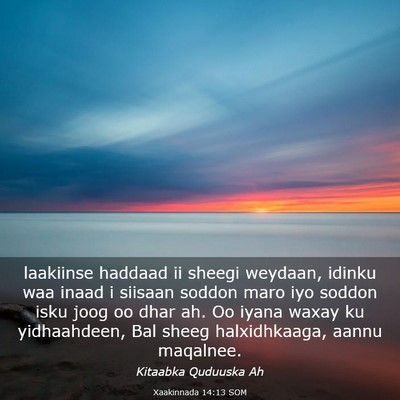Picture 03 - Xaakinnada 14:13 SOM - laakiinse haddaad ii sheegi weydaan, idinku waa - Bible Verse Picture